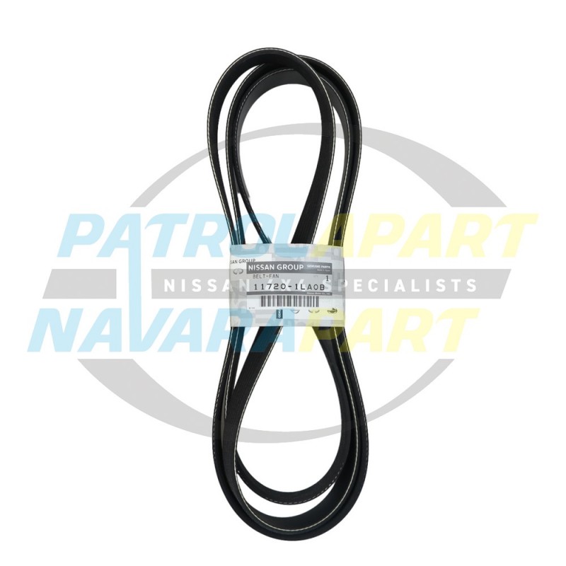 Genuine Nissan Patrol Serpentine Engine Fan Belt Y62 V8 VK56