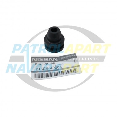 Genuine Nissan Patrol GU Radiator Mounting Rubber Lower