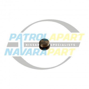 Blank Plug Radiator Switch For Nissan Patrol GQ EFI