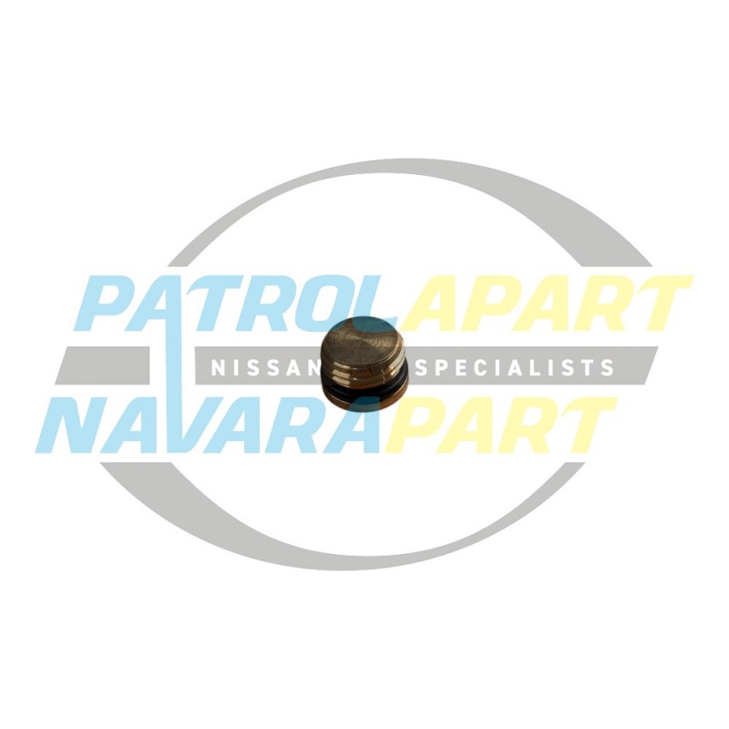 Blank Plug Radiator Switch For Nissan Patrol GQ EFI
