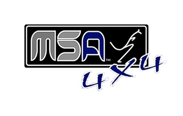 MSA