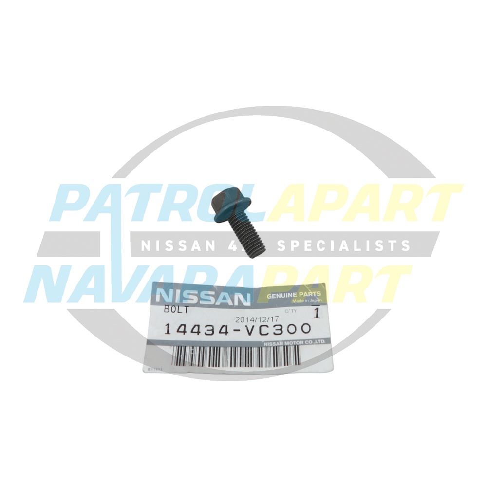 Genuine Nissan EGR Pipe to Manifold Bolt ZD30 - Nissan Patrol Y61 GU & Navara D22