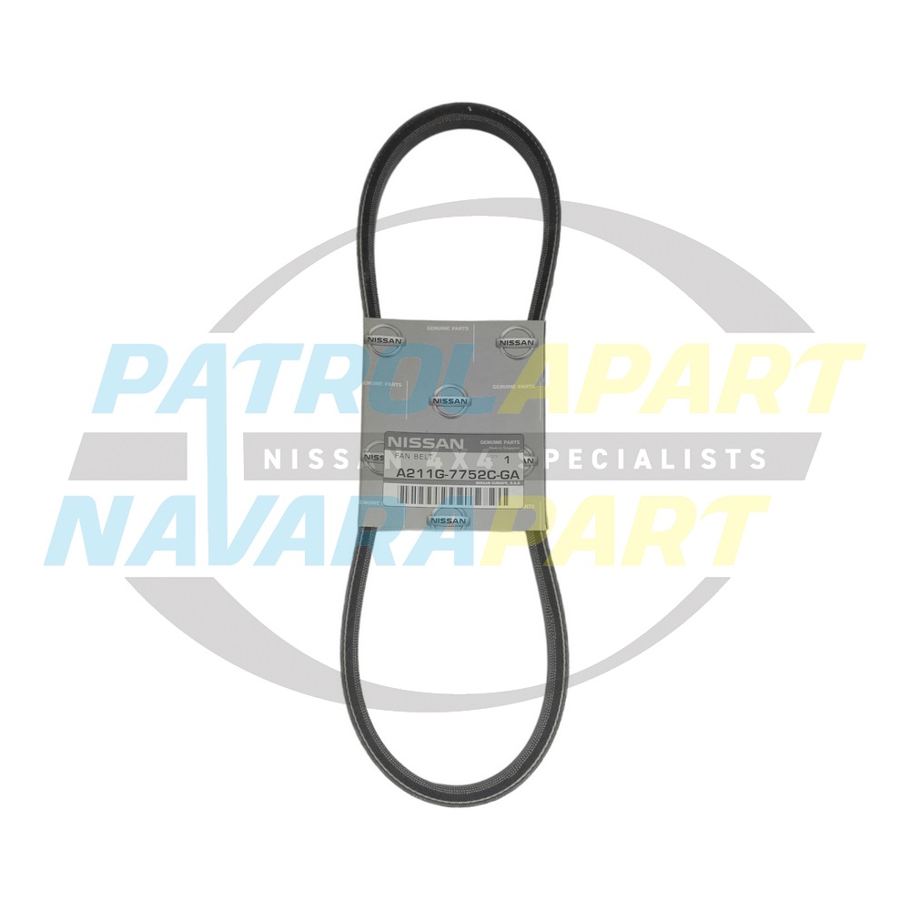 Genuine Nissan Power Steering Belt YD25 - Nissan Navara D22 2008-2015