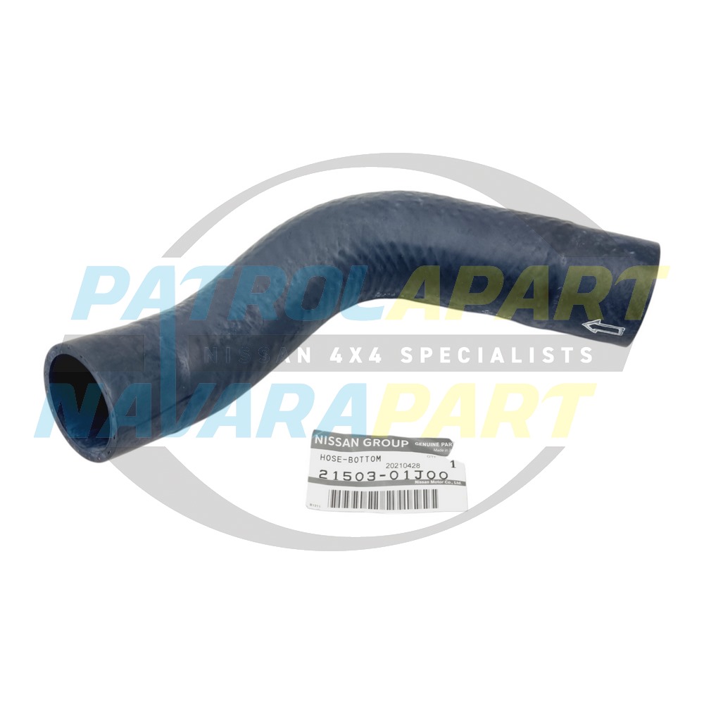 Genuine Nissan Lower Radiator Hose TB42 - Nissan Patrol Y60 GQ