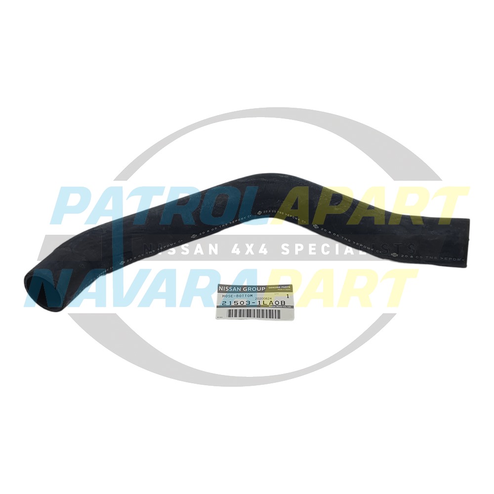 Genuine Nissan Lower Radiator Hose - Nissan Patrol Y62