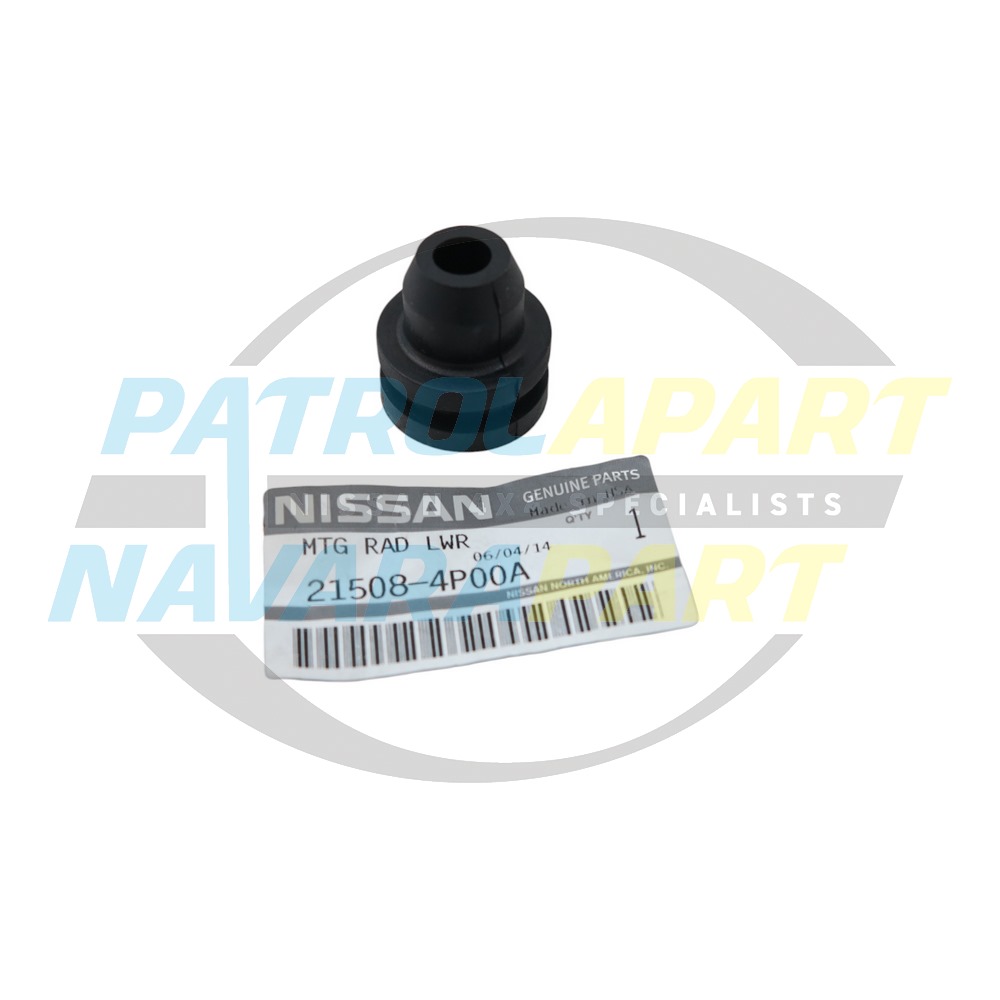 Genuine Nissan Radiator Mounting Rubber Lower - Nissan Patrol Y61 GU & Navara D22 & D40