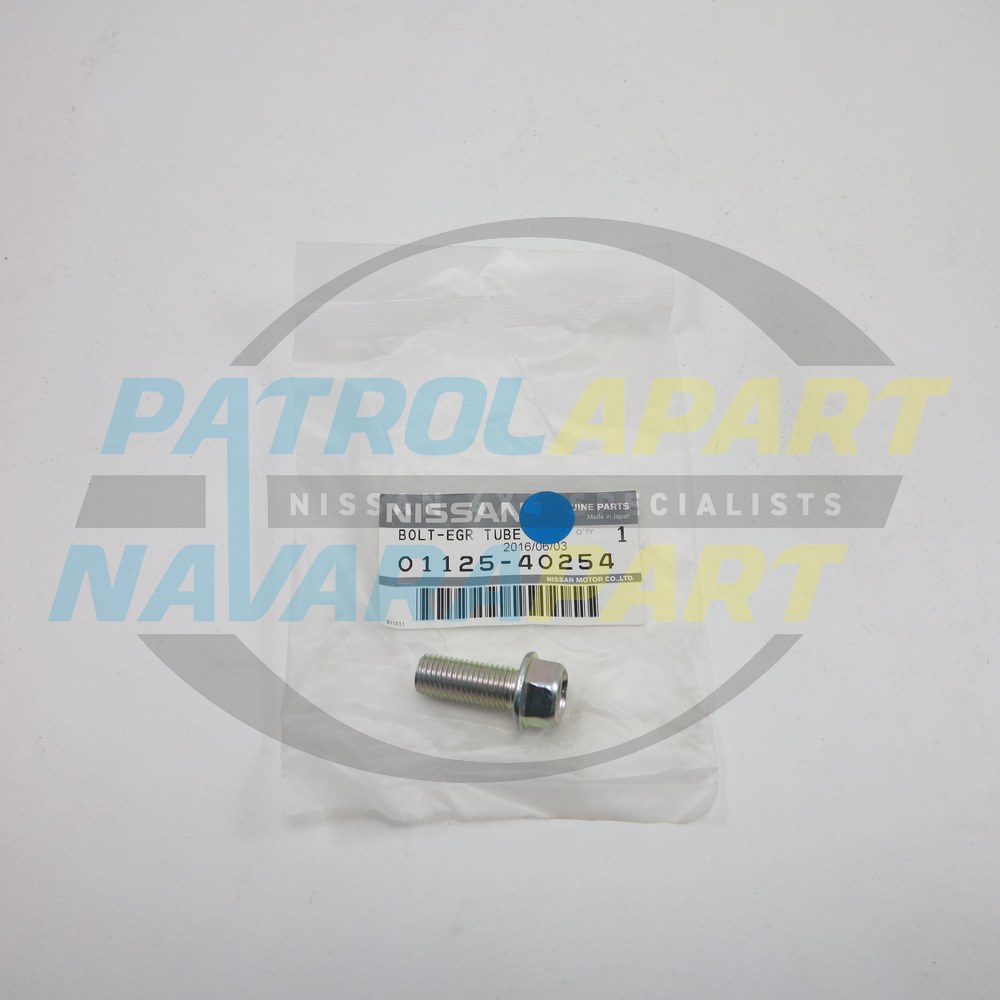 Genuine Nissan EGR Bracket Bolt ZD30 - Nissan Patrol Y61 GU