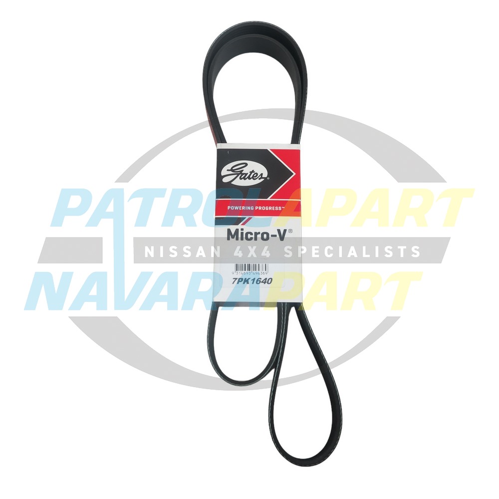 Gates Serpentine Fan Belt ZD30 - Nissan Patrol Y61 GU