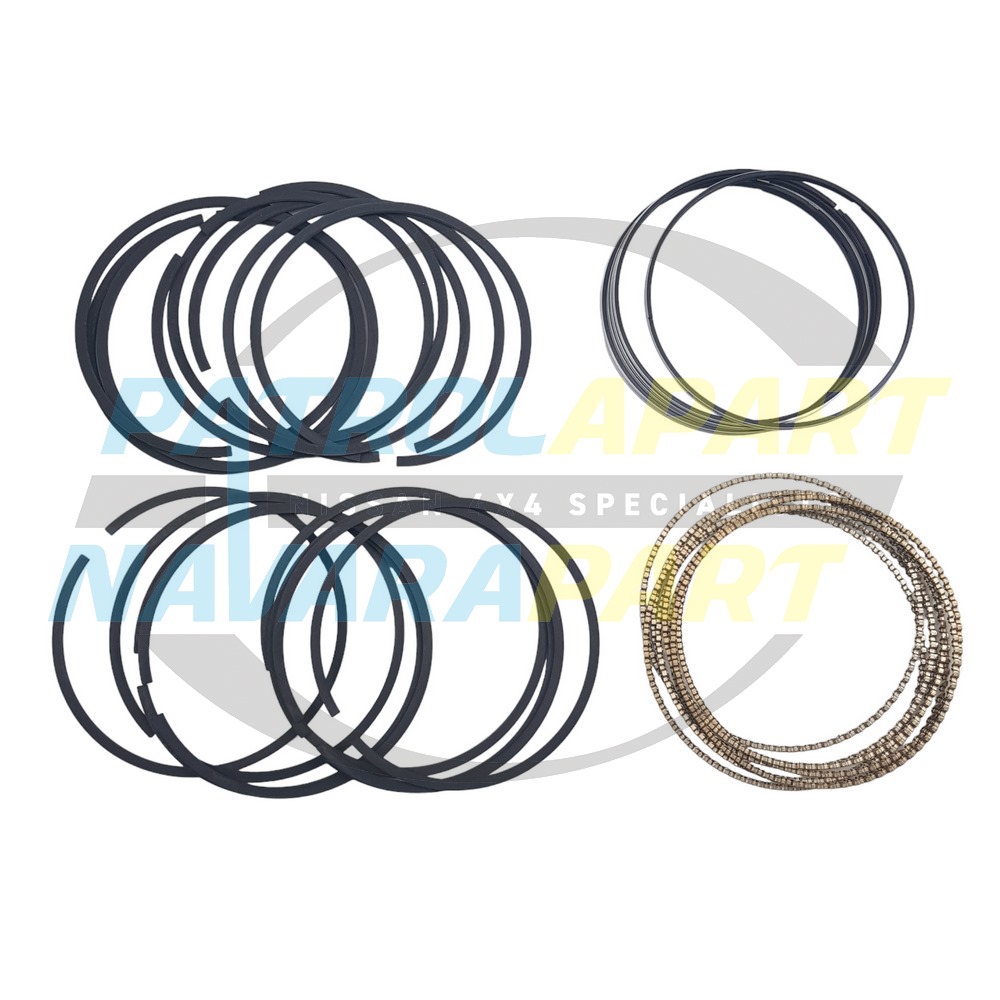 STD Oil Piston Ring Set VK56 - Nissan Patrol Y62