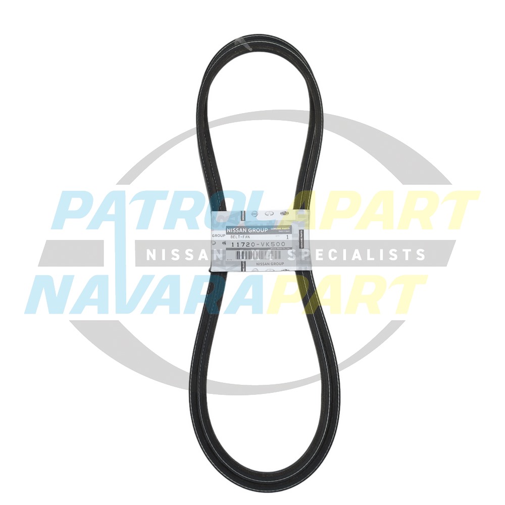 Genuine Nissan Alternator Belt Pair YD25 - Nissan Navara D22