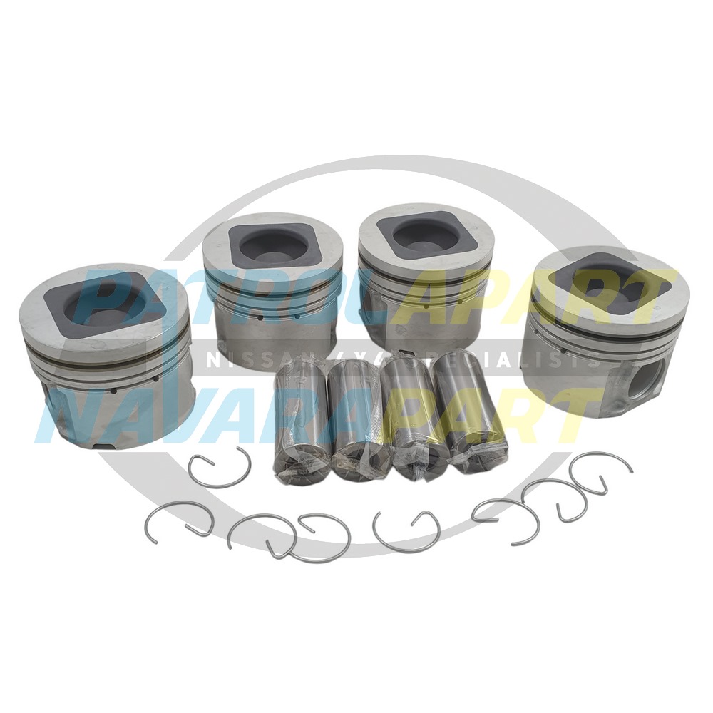 Piston 2mm Oil Ring SET of 4 ZD30 - Nissan Patrol Y61 GU & Navara D22