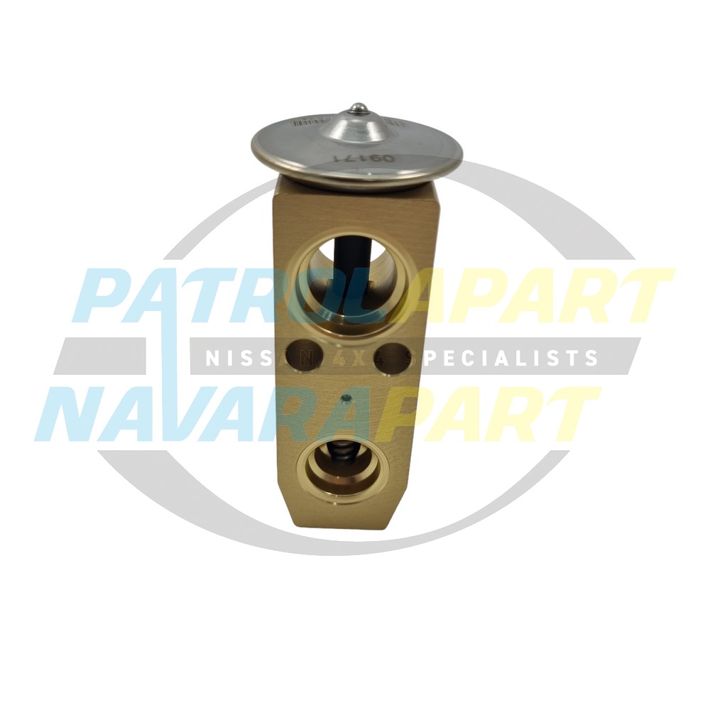 TX Valve on Firewall - Nissan Patrol Y61 GU