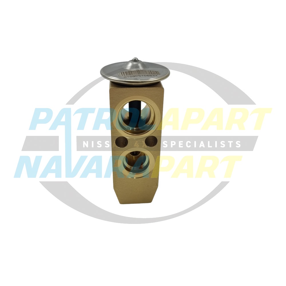 TX Valve on Firewall - Nissan Patrol Y61 GU