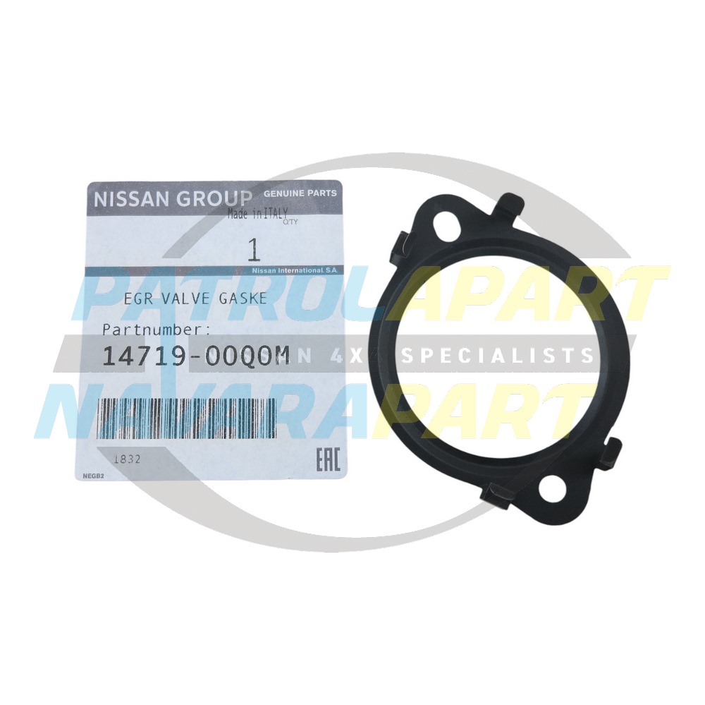 Genuine Nissan EGR Valve Gasket - Nissan Navara D40 V9X - Pathfinder R51 V9X