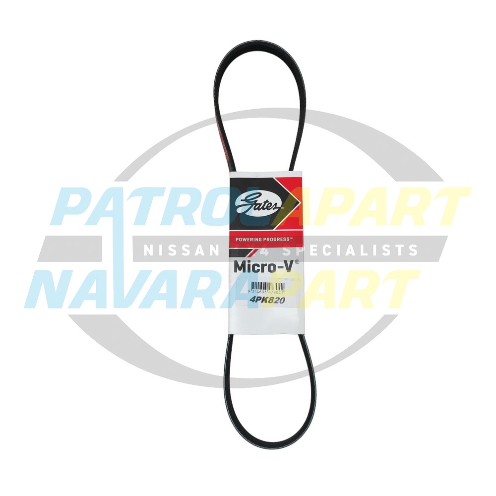 Power Steer Belt - Nissan Navara D40 Thai Spanish YD25 R51