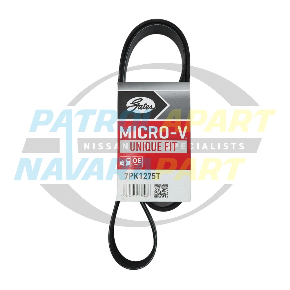 Alternator Belt - Nissan Navara D40 Spanish VSK YD25 up to 03/09