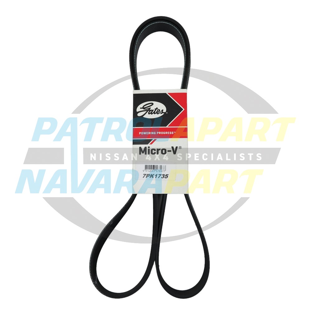 Serpentine Belt - Nissan Navara D40 Spanish VSK YD25 Post 2010