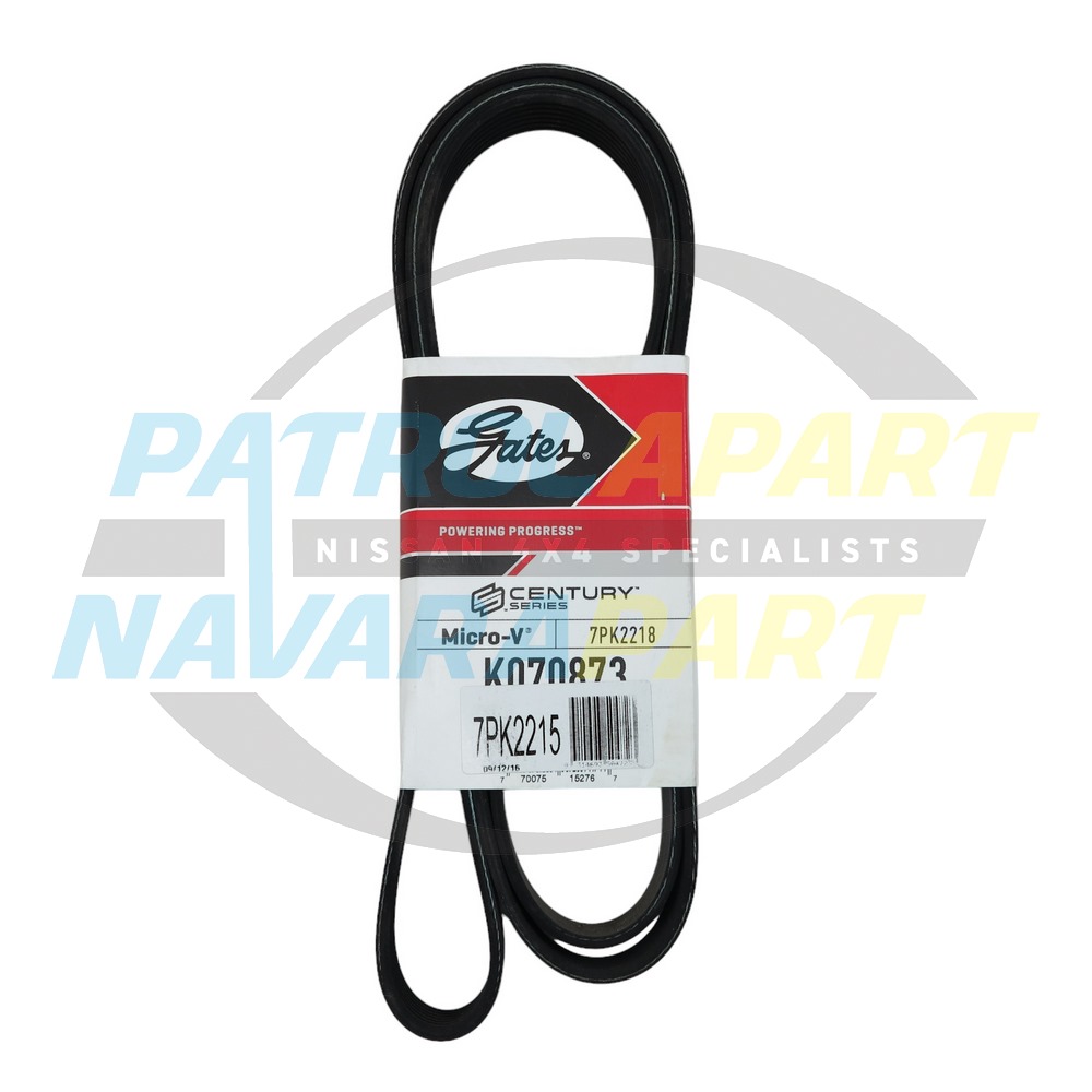 Alternator Belt - Nissan Navara D40 R51 Spanish VSK VQ40