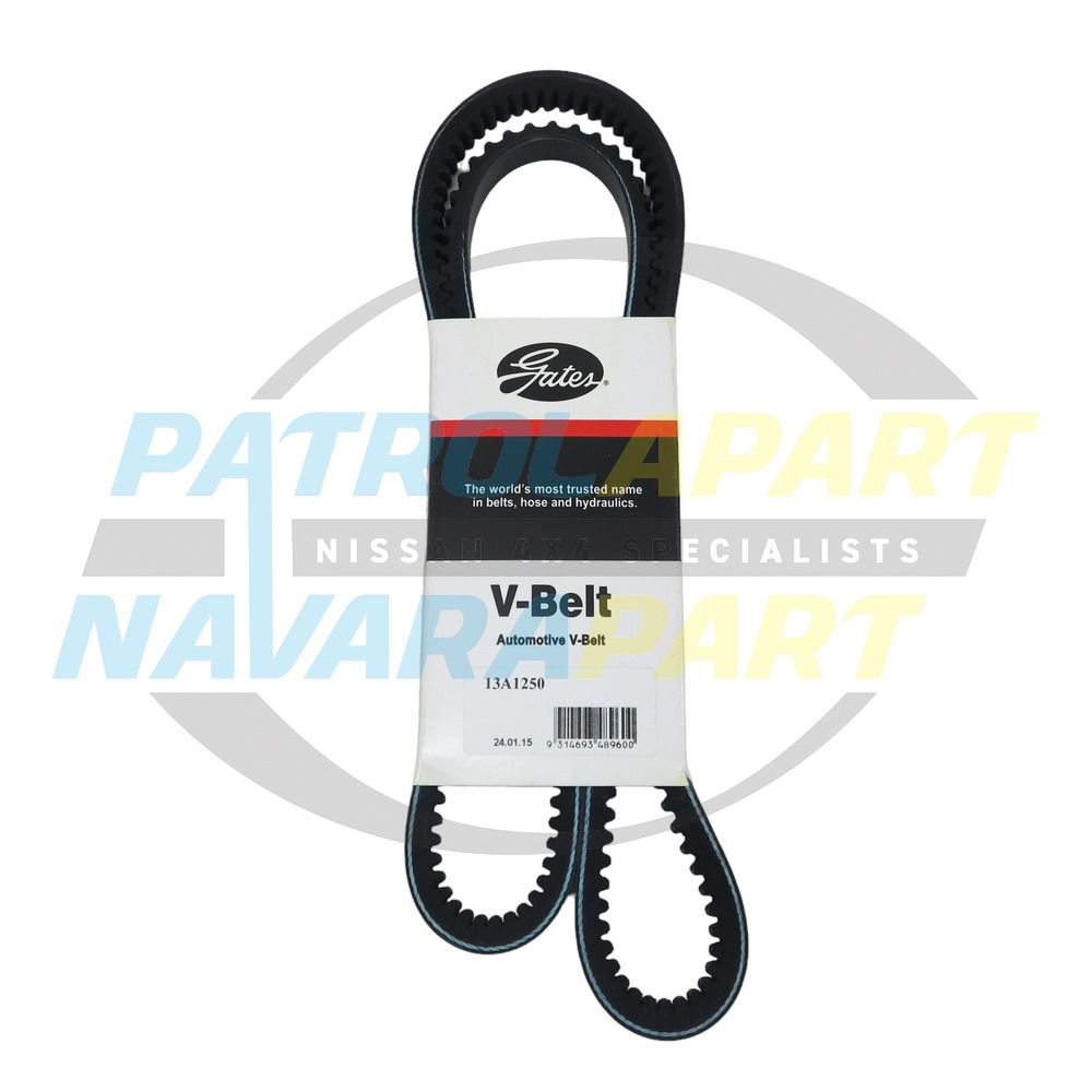 Gates Power Steering P/S Fan Belt TD42 - Nissan Patrol Y61 GU