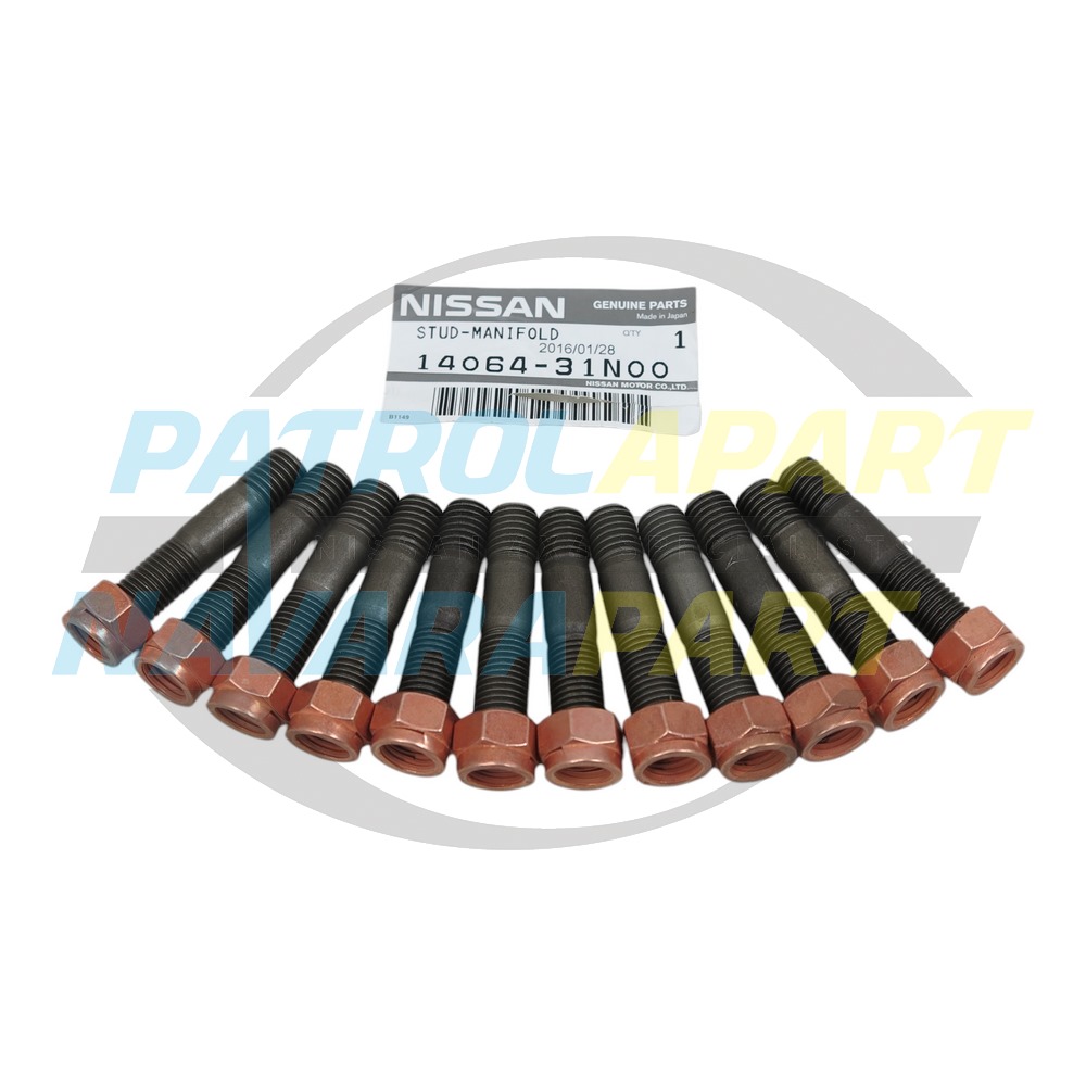 Genuine Nissan Exhaust Manifold Studs & N/G Copper Nuts TD42 - Nissan Patrol Y60 GQ & Y61 GU